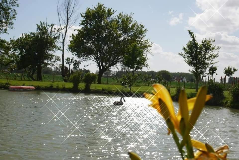 Gite Canard Fromelles Buitenkant foto