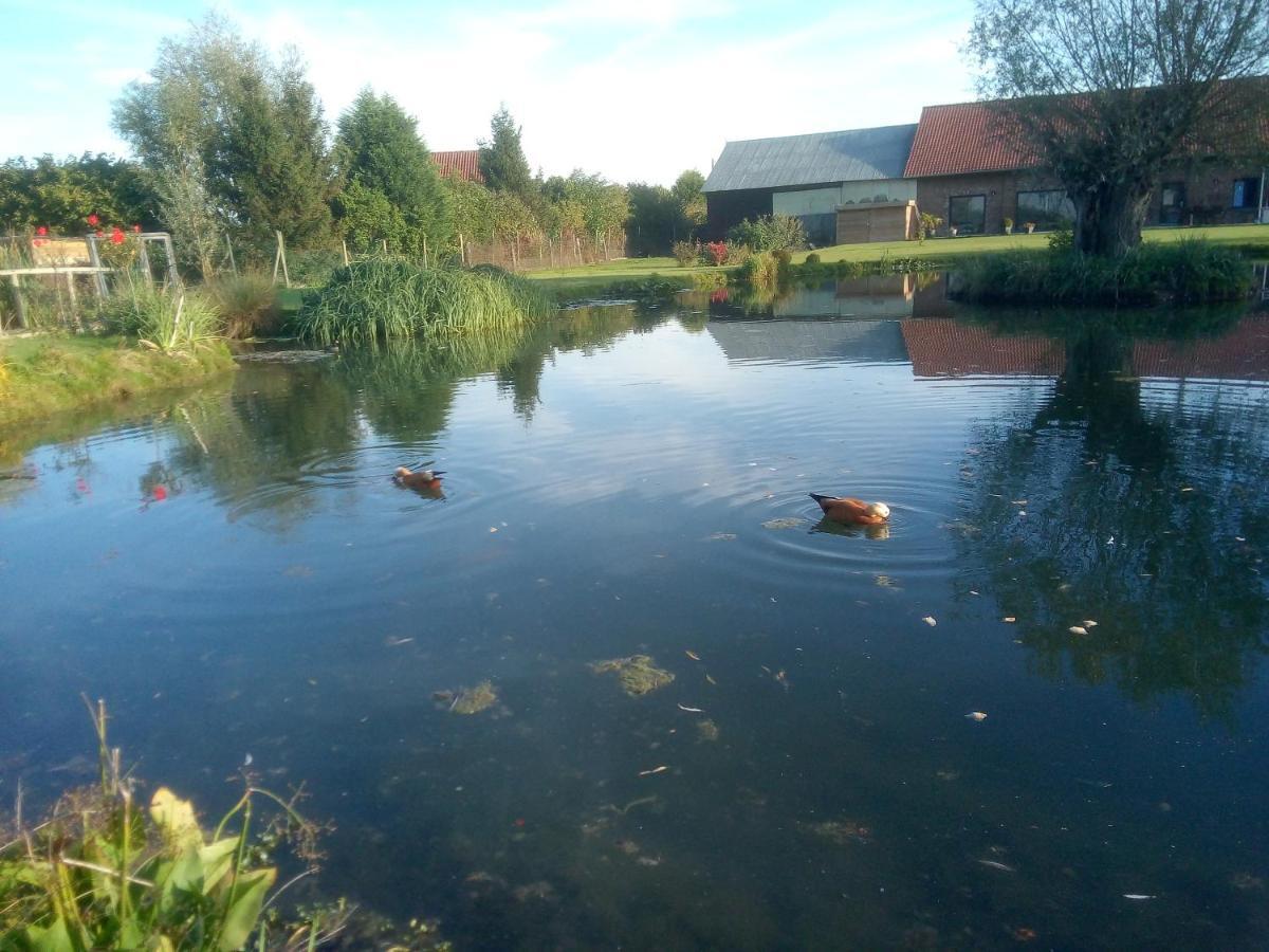Gite Canard Fromelles Buitenkant foto